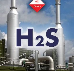 CURSO BÁSICO VIRTUAL : LINEAMIENTOS DE SEGURIDAD CON SULFURO DE HIDRÓGENO